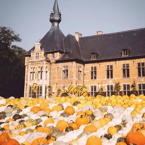 Le Pumpkimania revient du 19 septembre au 2 novembre au Château de Grand Bigard.