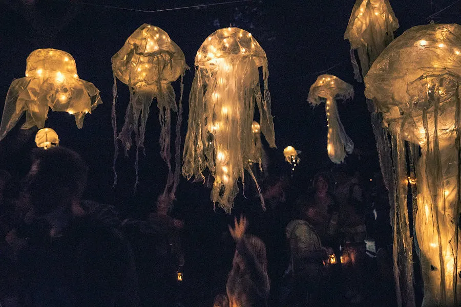 Passez une nuit en tipi en plein coeur du Jardin Botanique de Meise - Ingrid Van Langhendonck, Photos Dr Et Unsplash