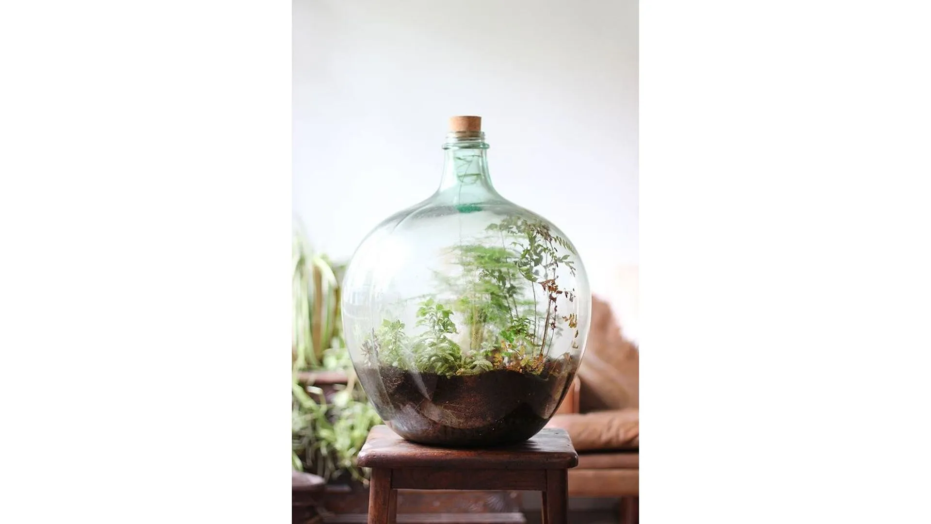 DIY : nos idées pour créer son propre terrarium - Par Anissa Hezzaz. Photo By Nielsen Ramon On Unsplash.