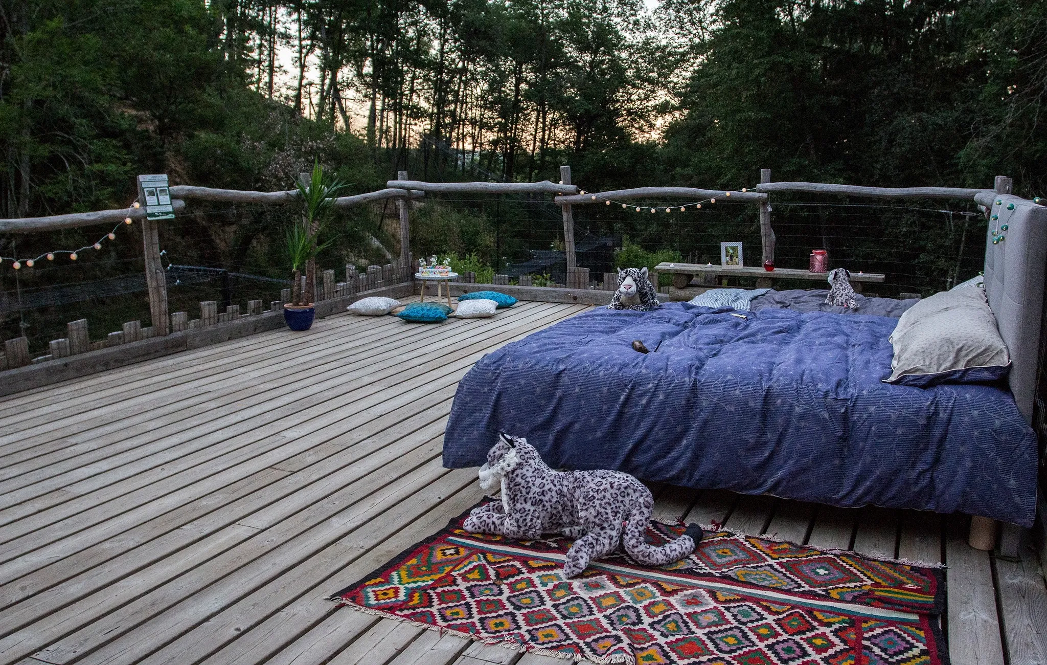Mieux que Pairi Daiza, il est possible de dormir avec des tigres et des girafes dans ce logement - Ingrid Van Langhendonck, Photos Dr