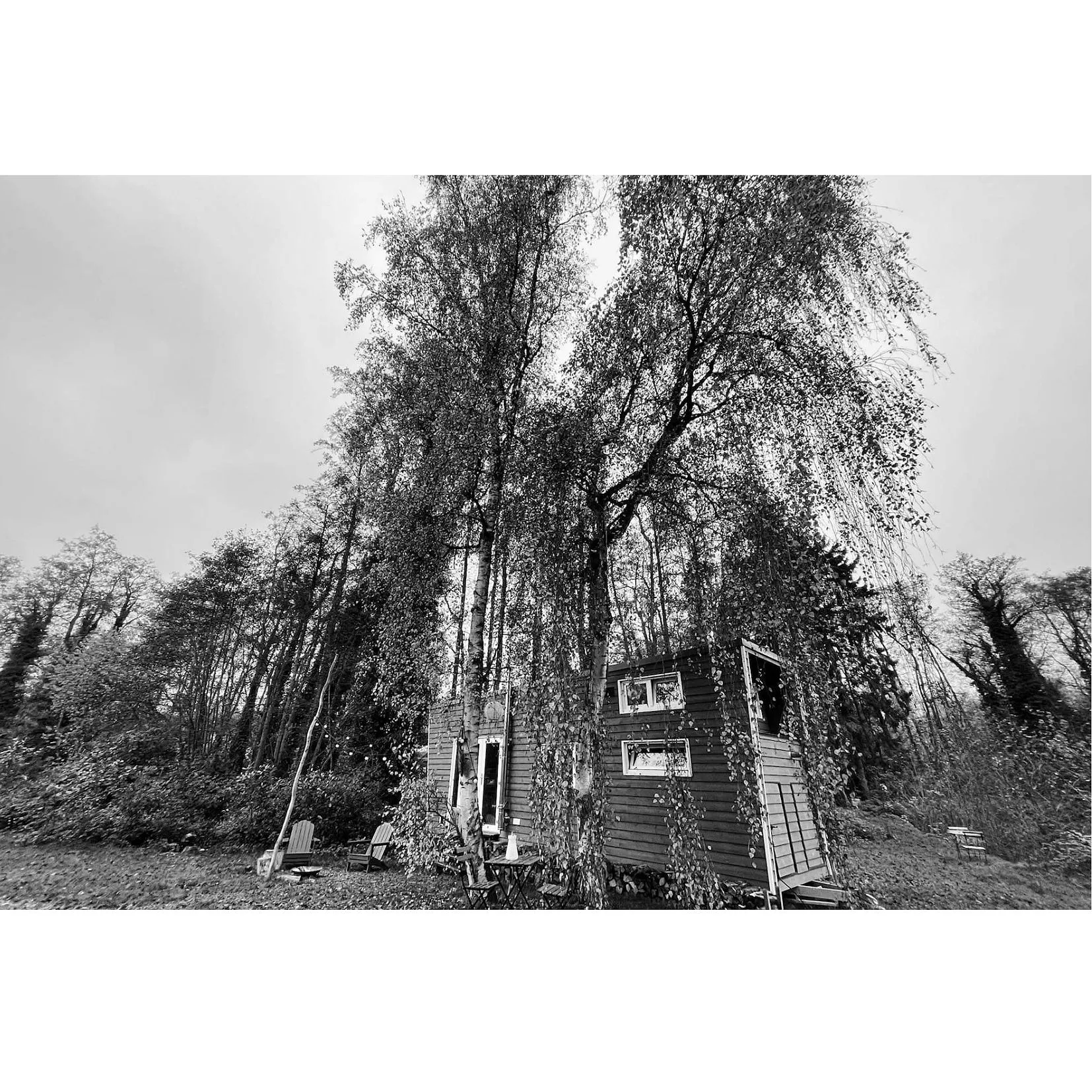 Une Tiny House de rêve à seulement 20 minutes de Bruxelles - Par Anissa Hezzaz. Photos : D.r. / Marie-Sandrine Fernandes Villela