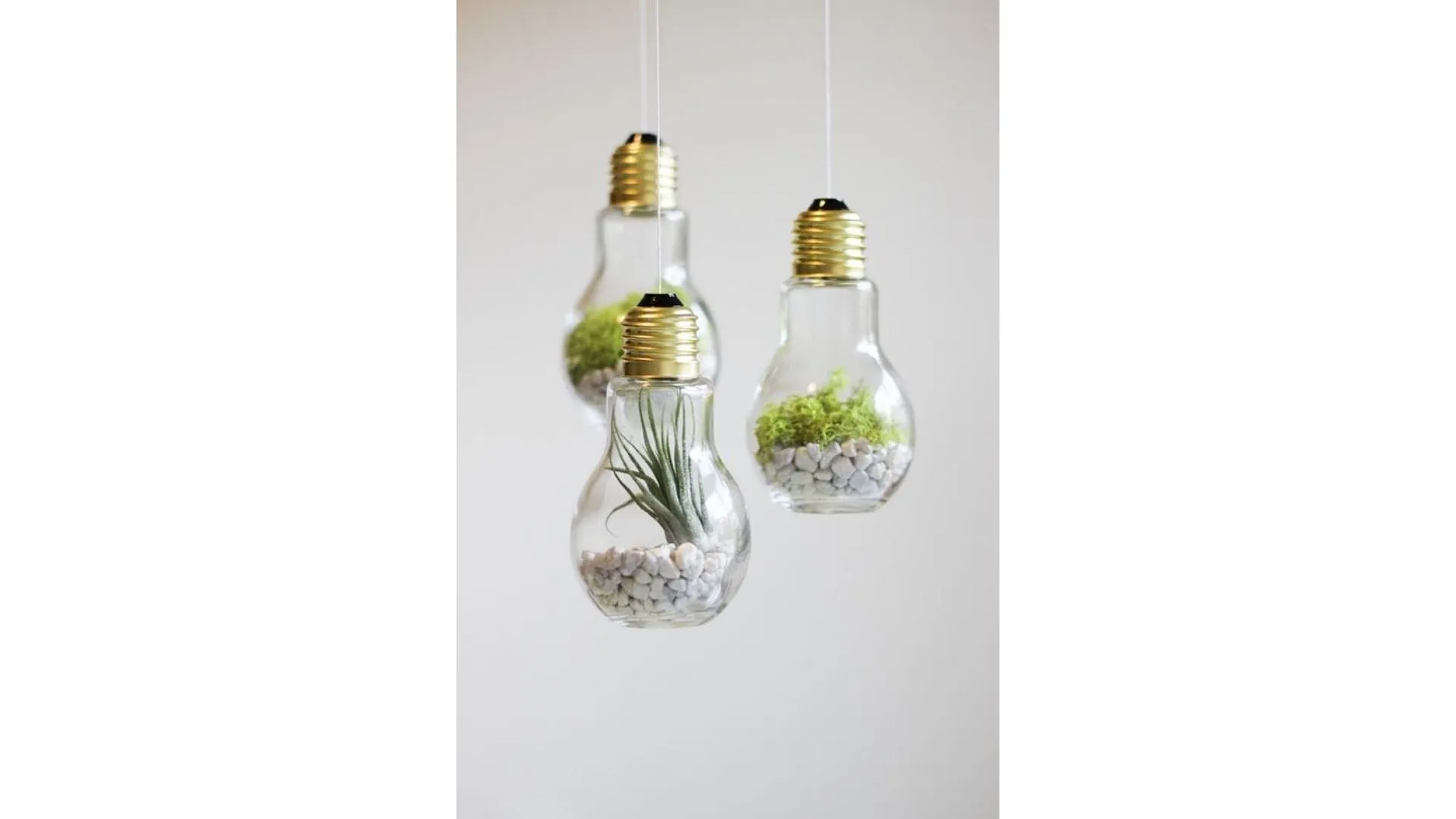 DIY : nos idées pour créer son propre terrarium - Par Anissa Hezzaz. Photo By Nielsen Ramon On Unsplash.