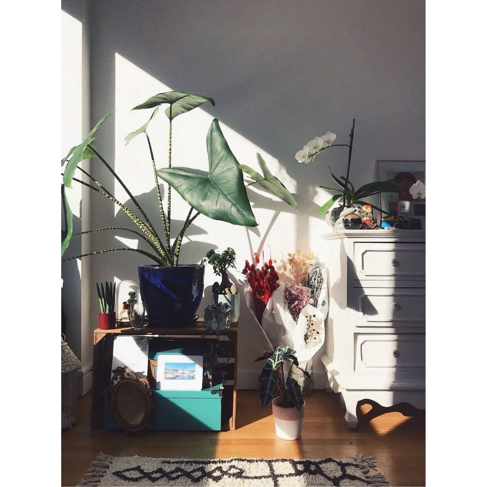 Jungle urbaine : comment les plantes vertes vont vous redonner le moral ? - Par Audrey Morard. Photos Unsplash, Audrey Chamot, Kevin Roy, Zoé Freund.
