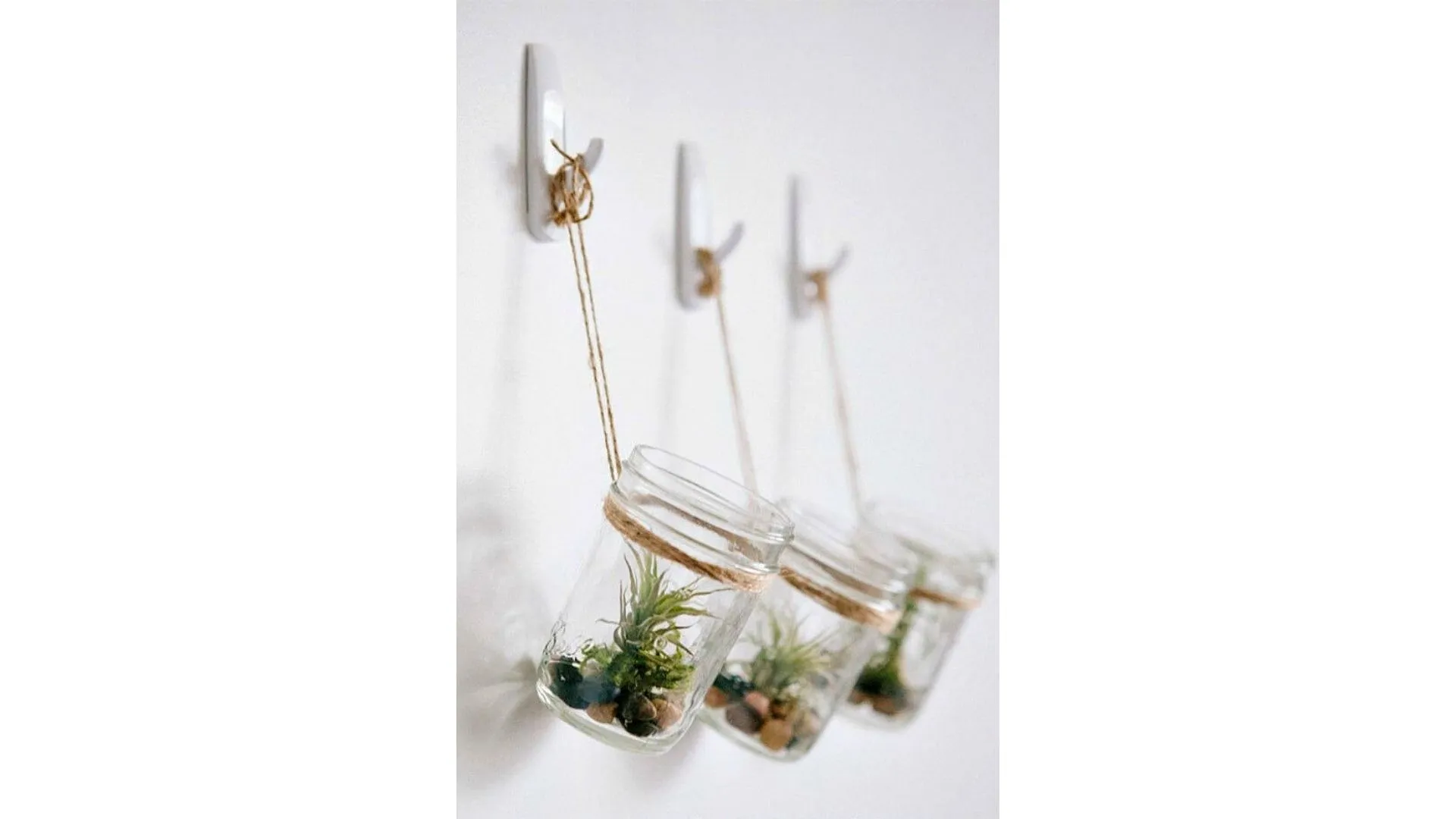 DIY : nos idées pour créer son propre terrarium - Par Anissa Hezzaz. Photo By Nielsen Ramon On Unsplash.