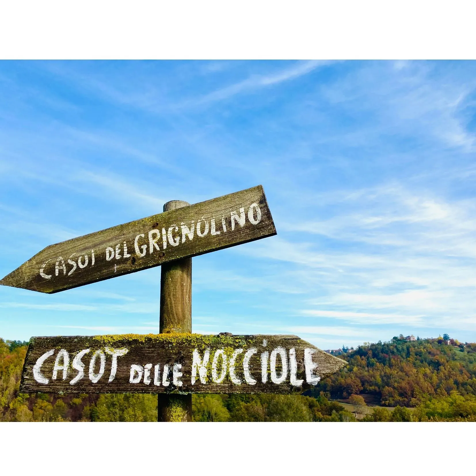 Carlo de Pascale nous révèle le meilleur du terroir italien - Texte Et Photos Carlo De Pascale Sauf Mentions Contraires.