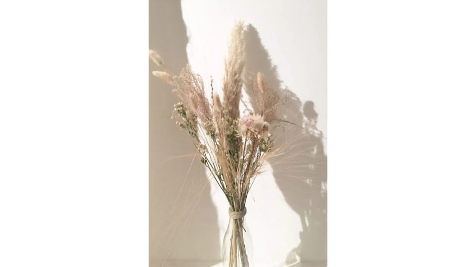 Fleurs séchées : trois méthodes simples pour les faire sécher vous-mêmes - Par Anissa Hezzaz. Photos : D.r.