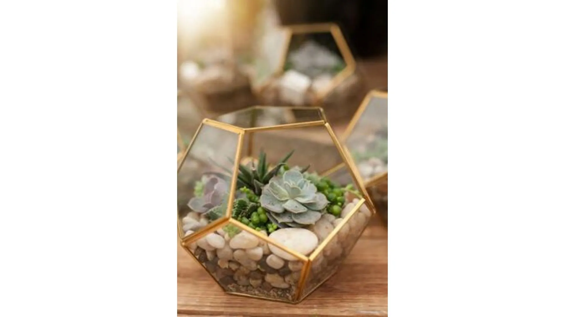 DIY : nos idées pour créer son propre terrarium - Par Anissa Hezzaz. Photo By Nielsen Ramon On Unsplash.