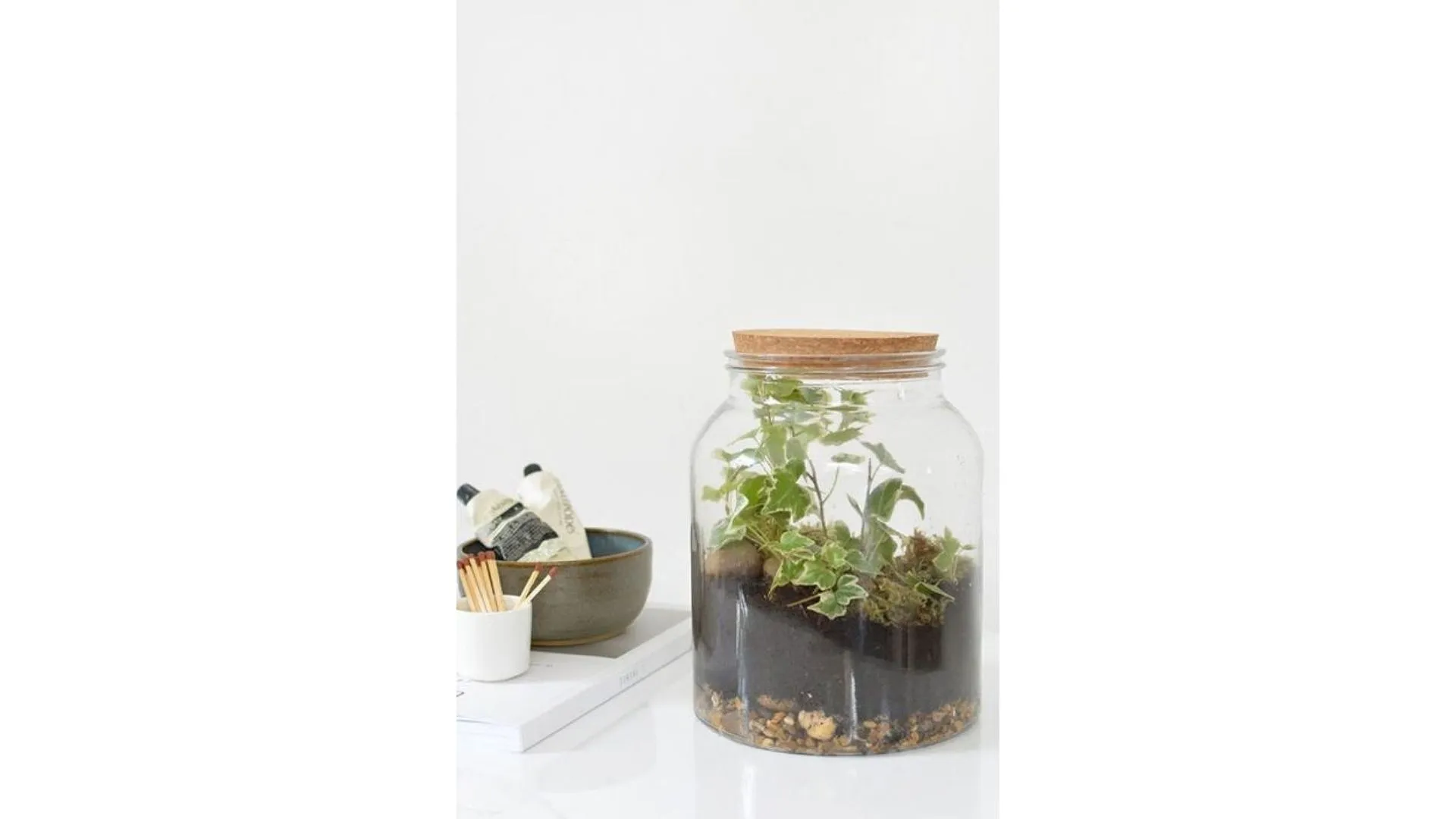 DIY : nos idées pour créer son propre terrarium - Par Anissa Hezzaz. Photo By Nielsen Ramon On Unsplash.