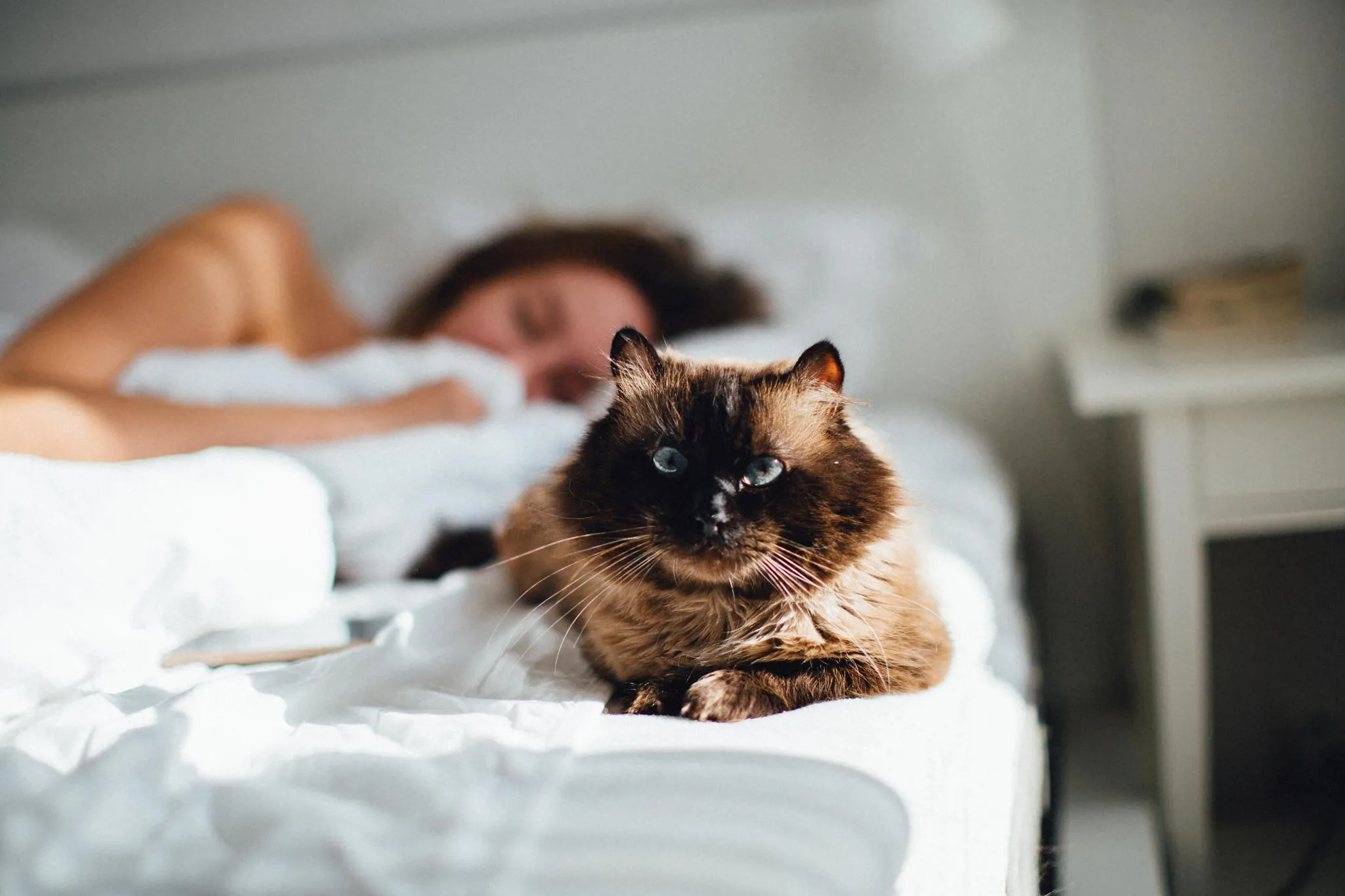 Les 7 commandements d'un blocus efficace - Par Sigrid Descamps. Photos Unsplash.