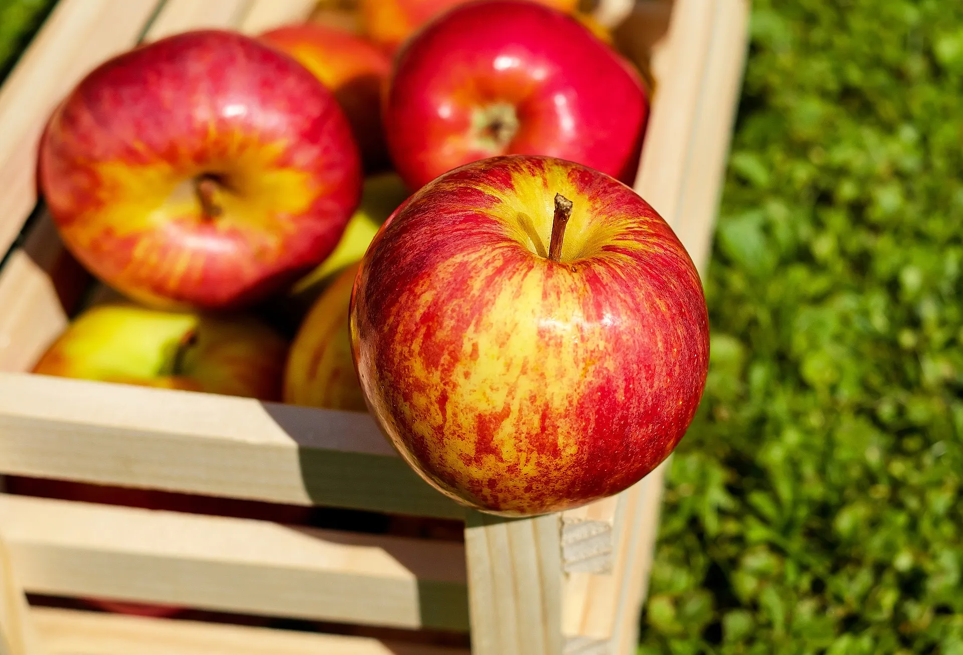 Quels fruits et légumes consommer en janvier ? - Par Sigrid Descamps. Photos Pixabay.