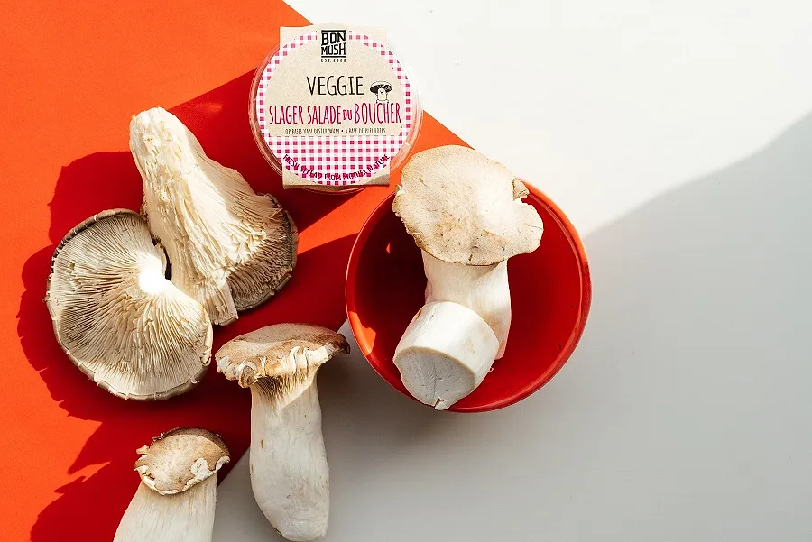 De la charcuterie à base de pleurotes, la nouvelle alternative à la viande belge et vegan - Ingrid Van Langhendonck, Photos Dr