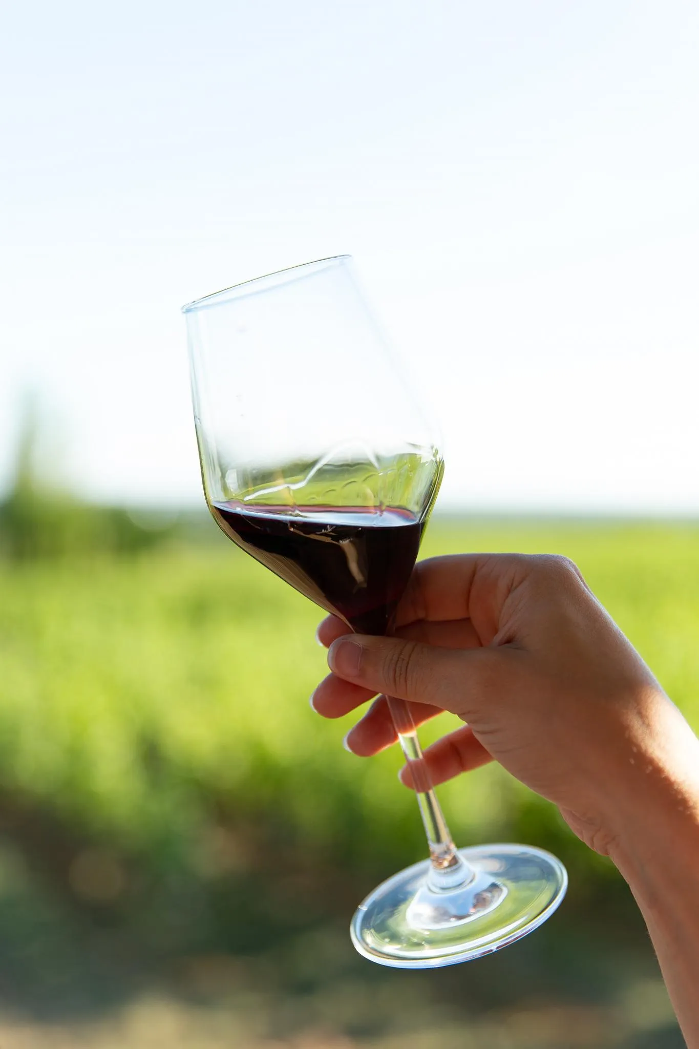 Les gestes à faire (et à ne pas faire) pour déguster le vin comme les pros - Par Laura Swysen, Photos Unsplash Et D.r