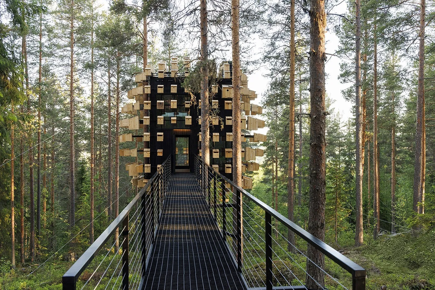 Cette chambre d'hôtel propose de dormir au milieu des oiseaux et des chauve-souris - Par Camille Vernin, Photo : Treehotel