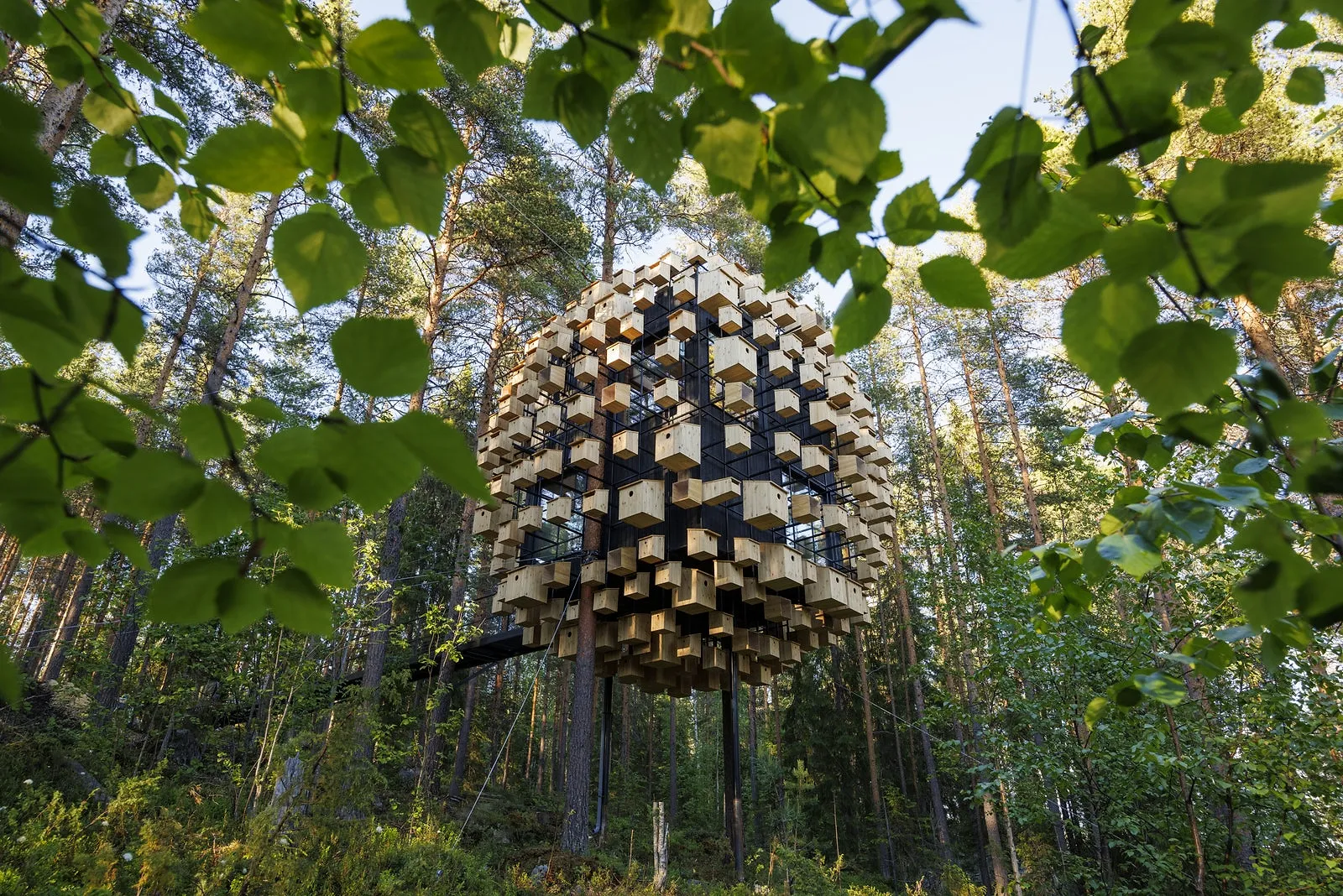 Cette chambre d'hôtel propose de dormir au milieu des oiseaux et des chauve-souris - Par Camille Vernin, Photo : Treehotel