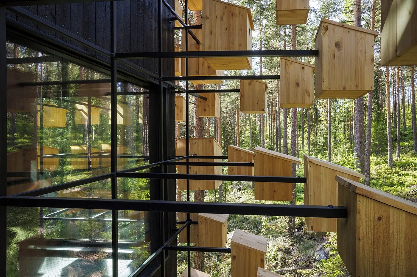 Cette chambre d'hôtel propose de dormir au milieu des oiseaux et des chauve-souris - Par Camille Vernin, Photo : Treehotel