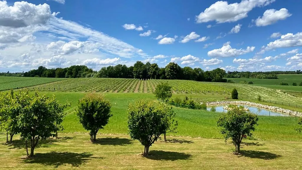Huit balades sur la route des vins wallons