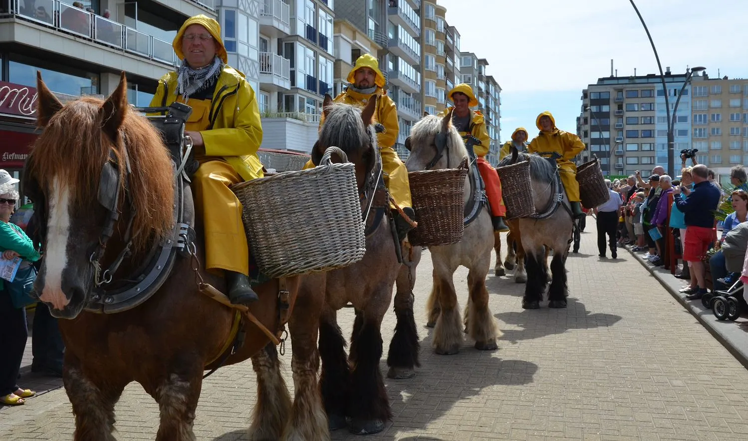 Koksijde nous fait gagner un an de croquettes aux crevettes - Ingrid Van Langhendonck, Photos (C)Visitkoksijde