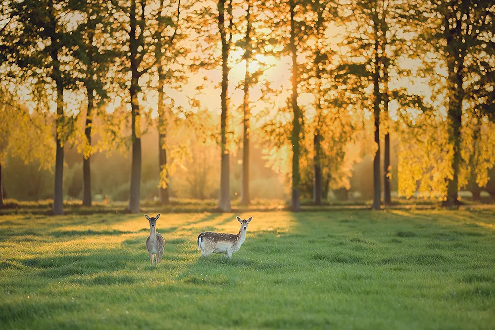 La vie de château en Belgique, le temps d’un week-end - Par Ingrid Van Langhendonck. Photos D.r.