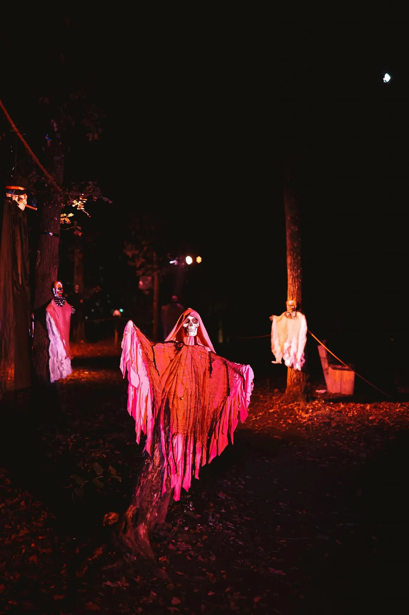Halloween : 5 activités effrayantes à vivre ce week-end - Ingrid Van Langhendonck, Photo Eleanor Brooke - Unsplash