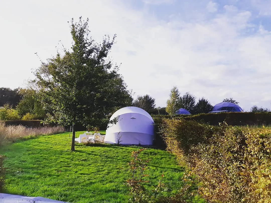 Camping : quatre nouvelles façons de camper branché - Par Anissa Hezzaz. Photo By Cindy Chen On Unsplash.