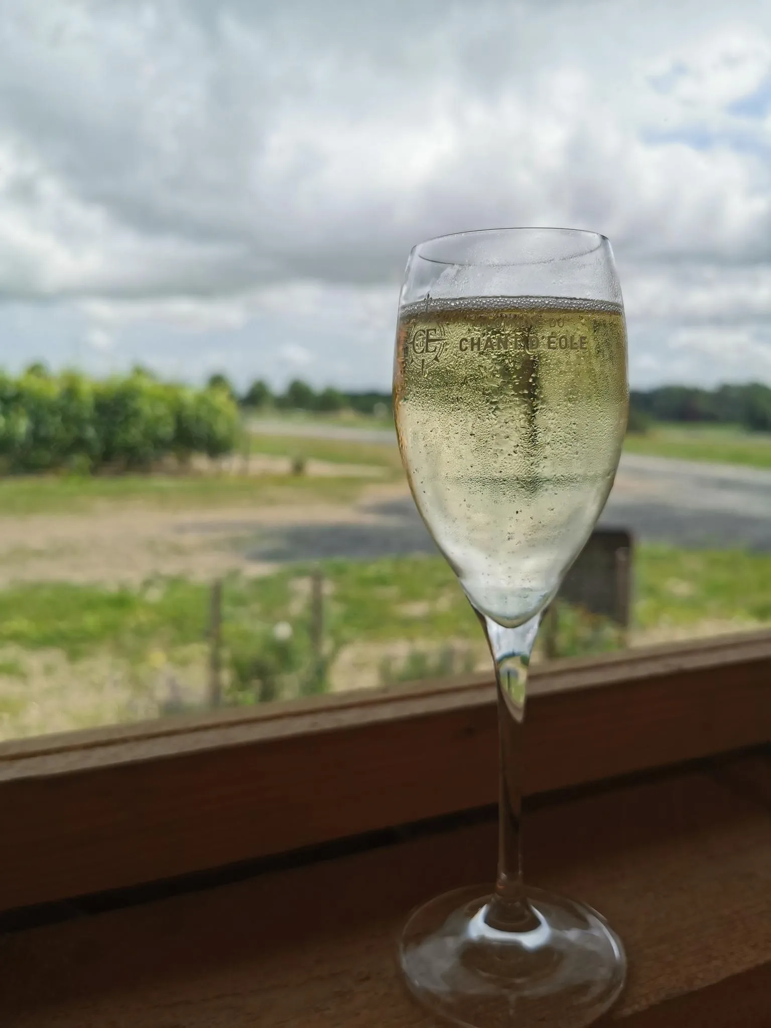 Huit balades sur la route des vins wallons