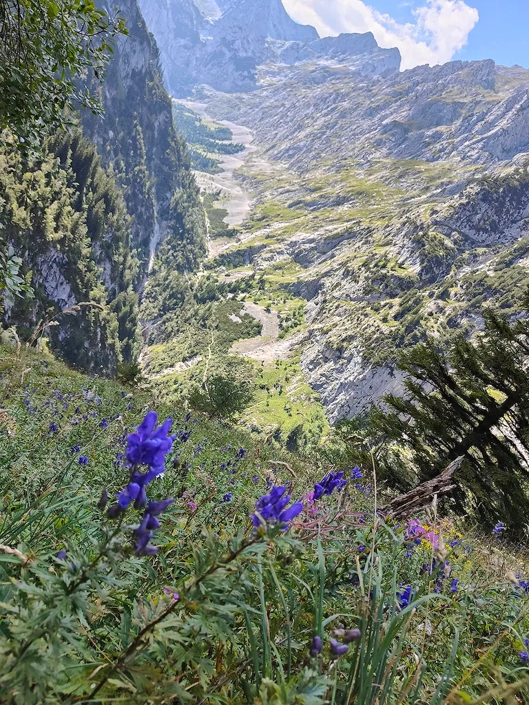 La Bavière, l'escapade romantique insoupçonnée non loin de chez nous - Par Marie Honnay. Photo By MylèNe Larnaud On Unsplash