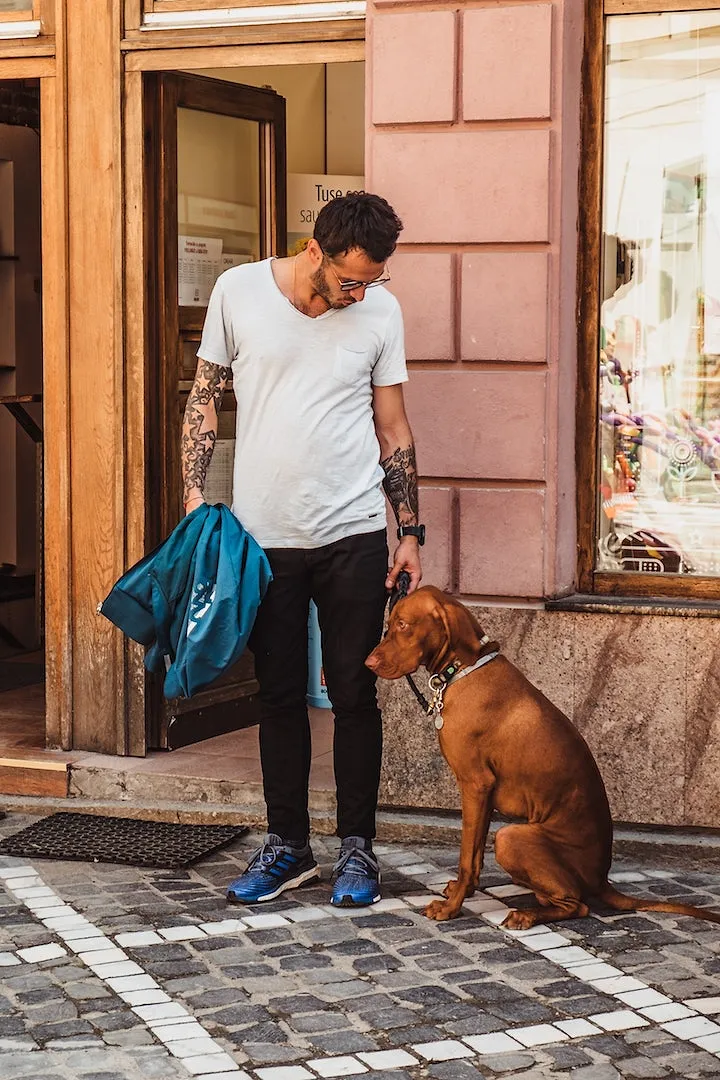 La Génération Rex : ces millennials qui préfèrent avoir un chien plutôt qu'un bébé - Par Cora Delacroix. Photo : Matt Nelson On Unsplash.