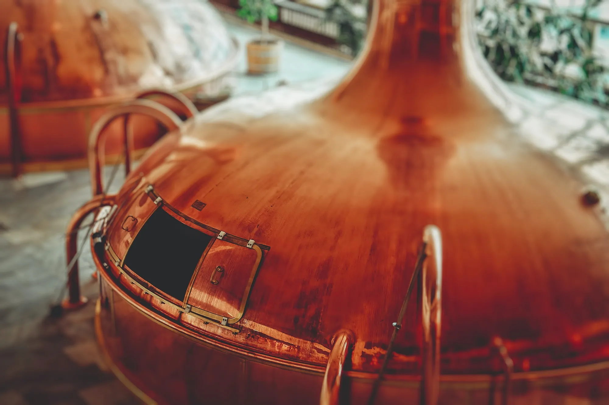 Cinq choses que tous les Belges devraient savoir à propos de la bière - Ingrid Van Langhendonck, Photos Unsplash