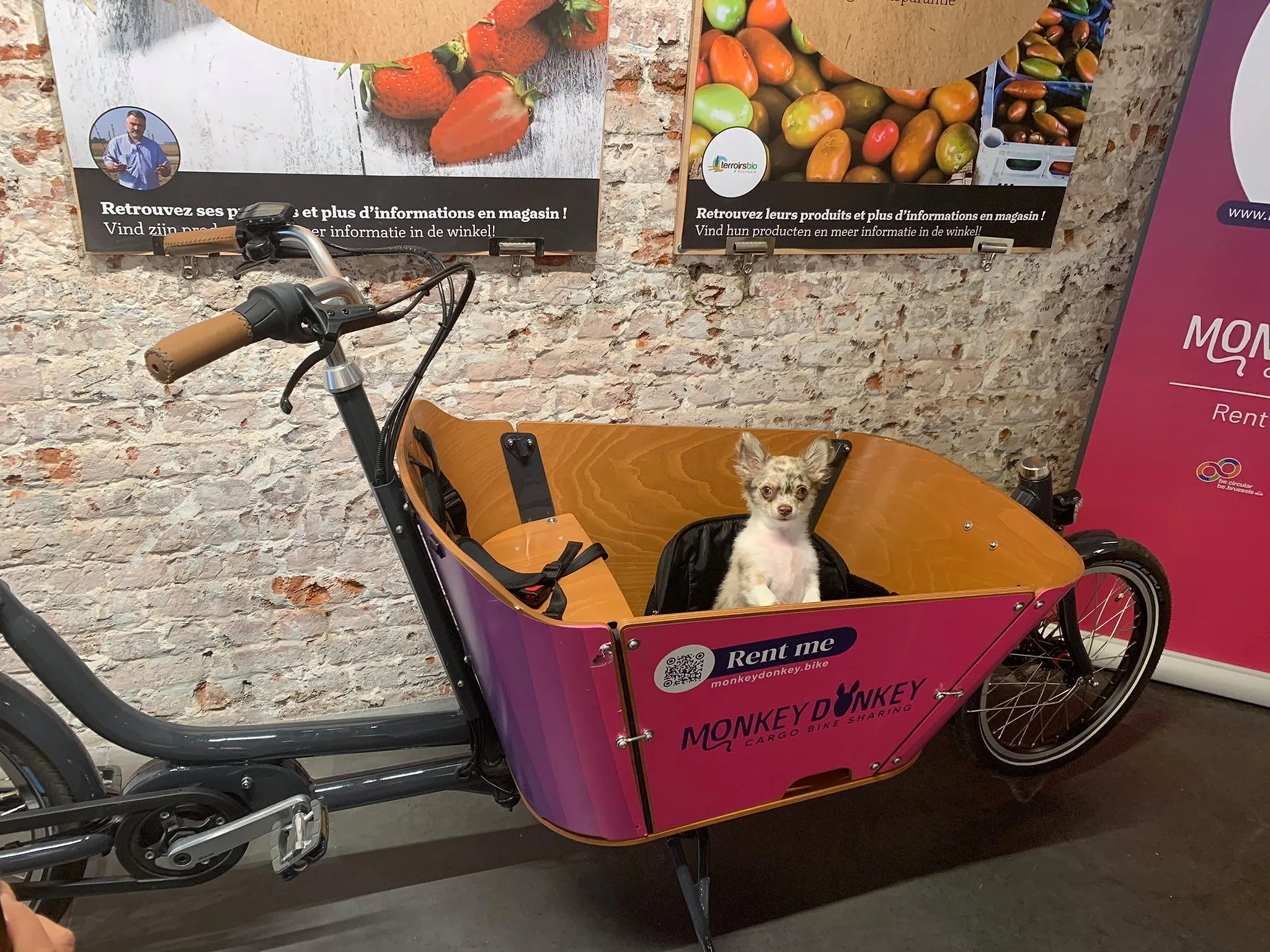 Un nouveau service de vélo-cargo à louer s’implante à Bruxelles - Par Georges Xouras. Photos Monkey Donkey