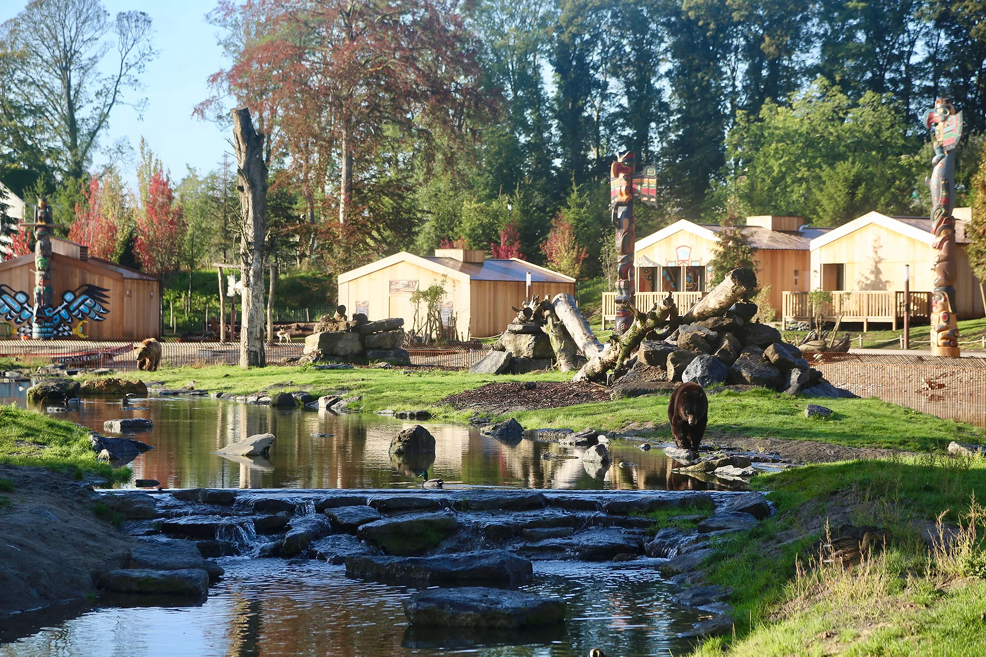 Eric Domb : success-story d'un jardinier qui termina Patron de Pairi Daiza - Par Ingrid Van Langhendonck, Photos Laetizia Bazzoni Et Pairi Daiza