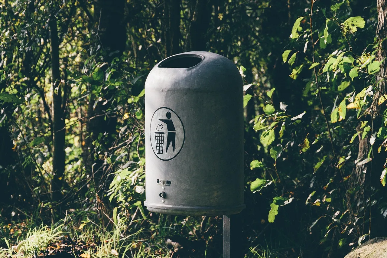 Journée du recyclage : à quel point recycler ses déchets est utile ? - Par Antoine Demanez. Photo De Mali Maeder Provenant De Pexels