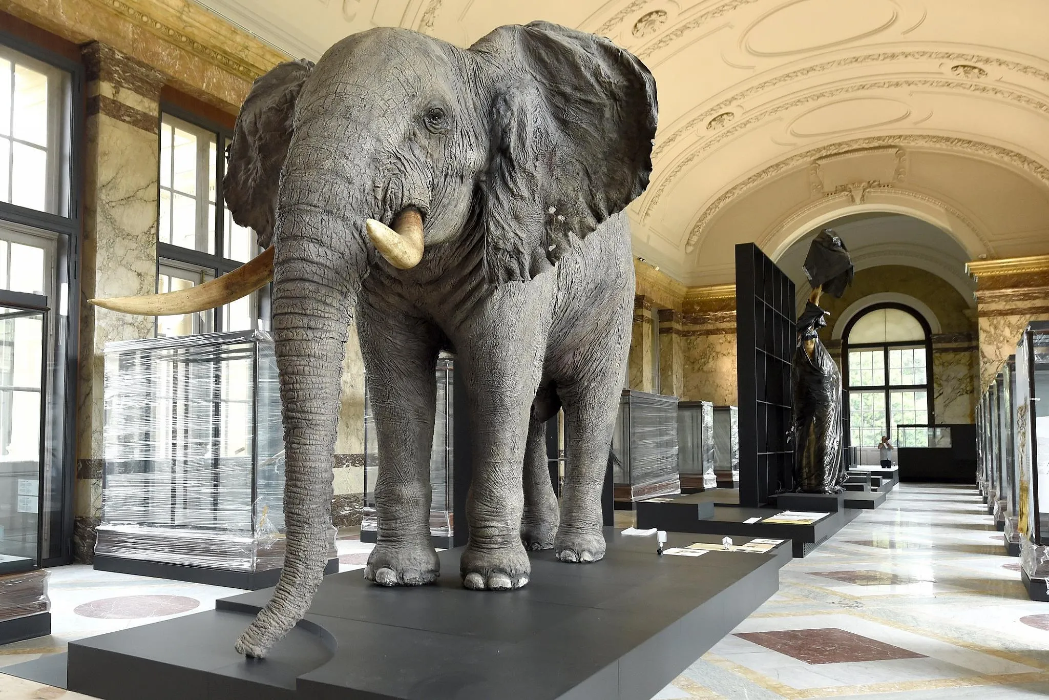 Heritage Days : les monuments emblématiques de Bruxelles accessibles tout le week-end - RéDactoin, Photos Photonews