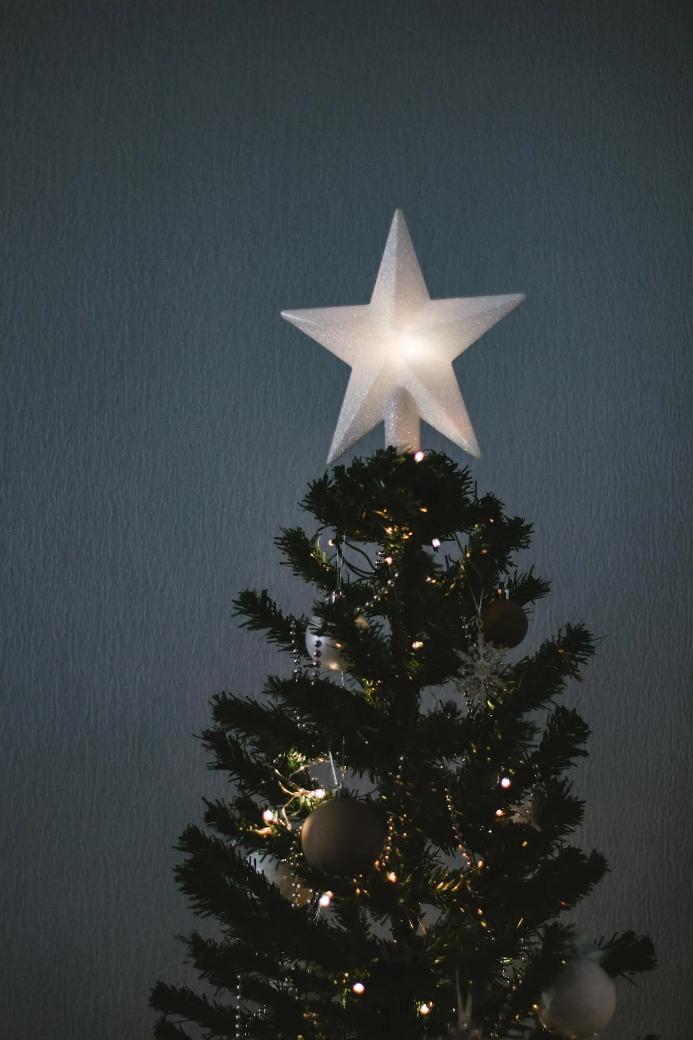 Pourquoi accroche-t-on traditionnellement une étoile au sommet du sapin de Noël ? - Ingrid Van Langhendonck, Photos Jonathan Borba/ Unsplash