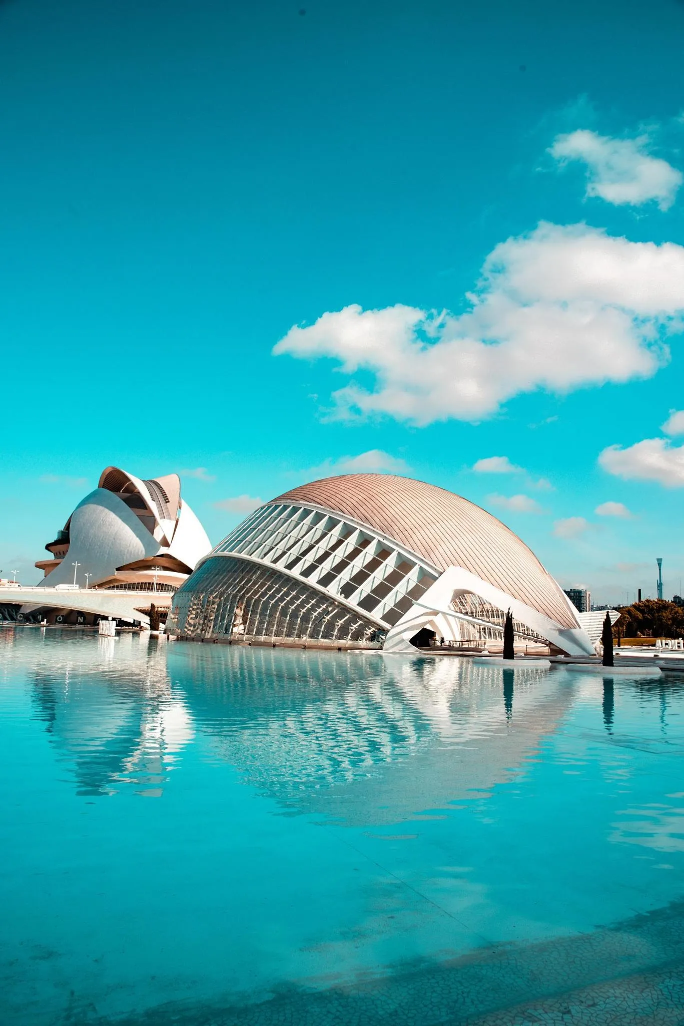 Pourquoi Valence sera la destination tendance en 2022 ? - Par Marie Honnay. Photos Unsplash.