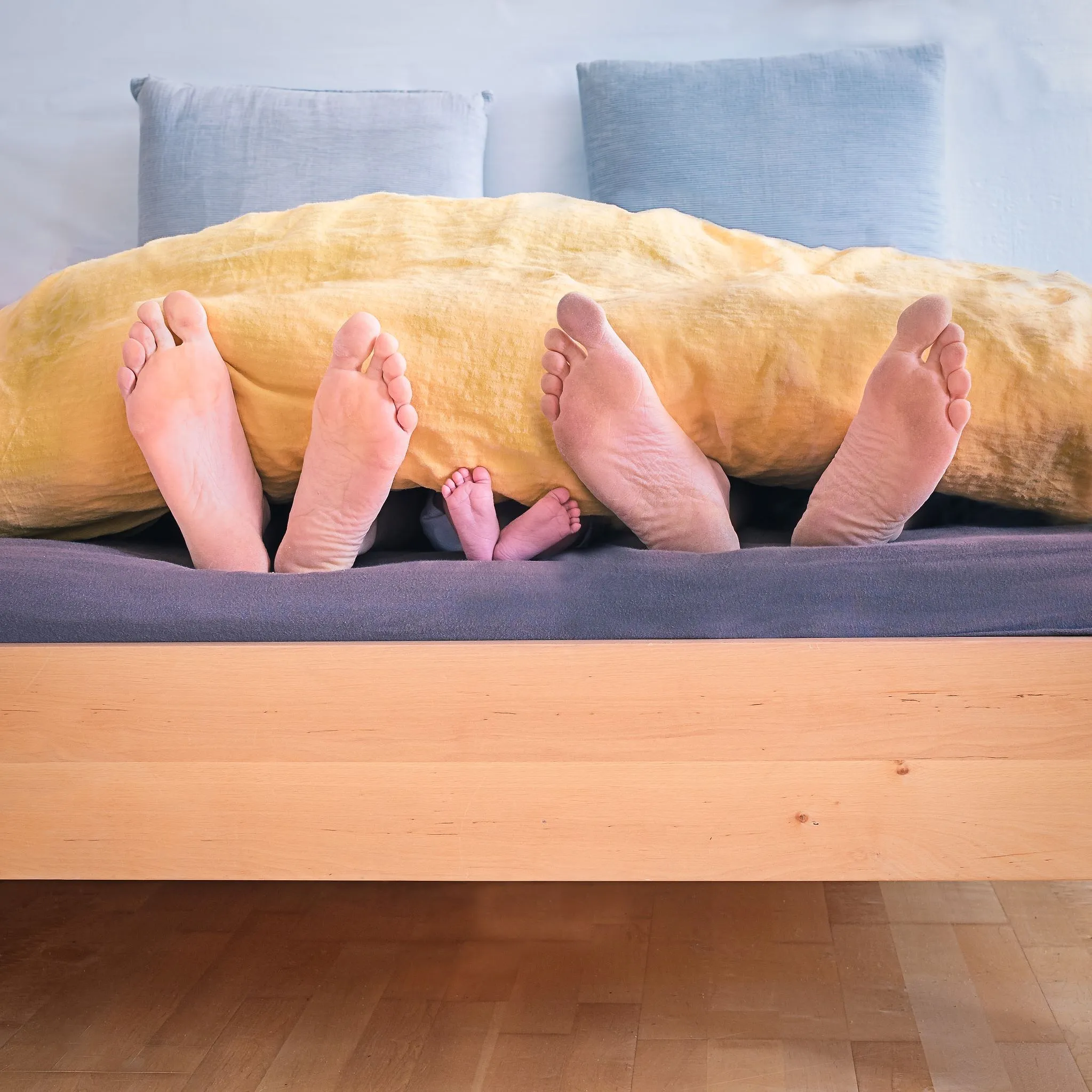 Pourquoi les moustiques attaquent toujours les mêmes personnes ? - Coralie Lambret, Photos : Unsplash