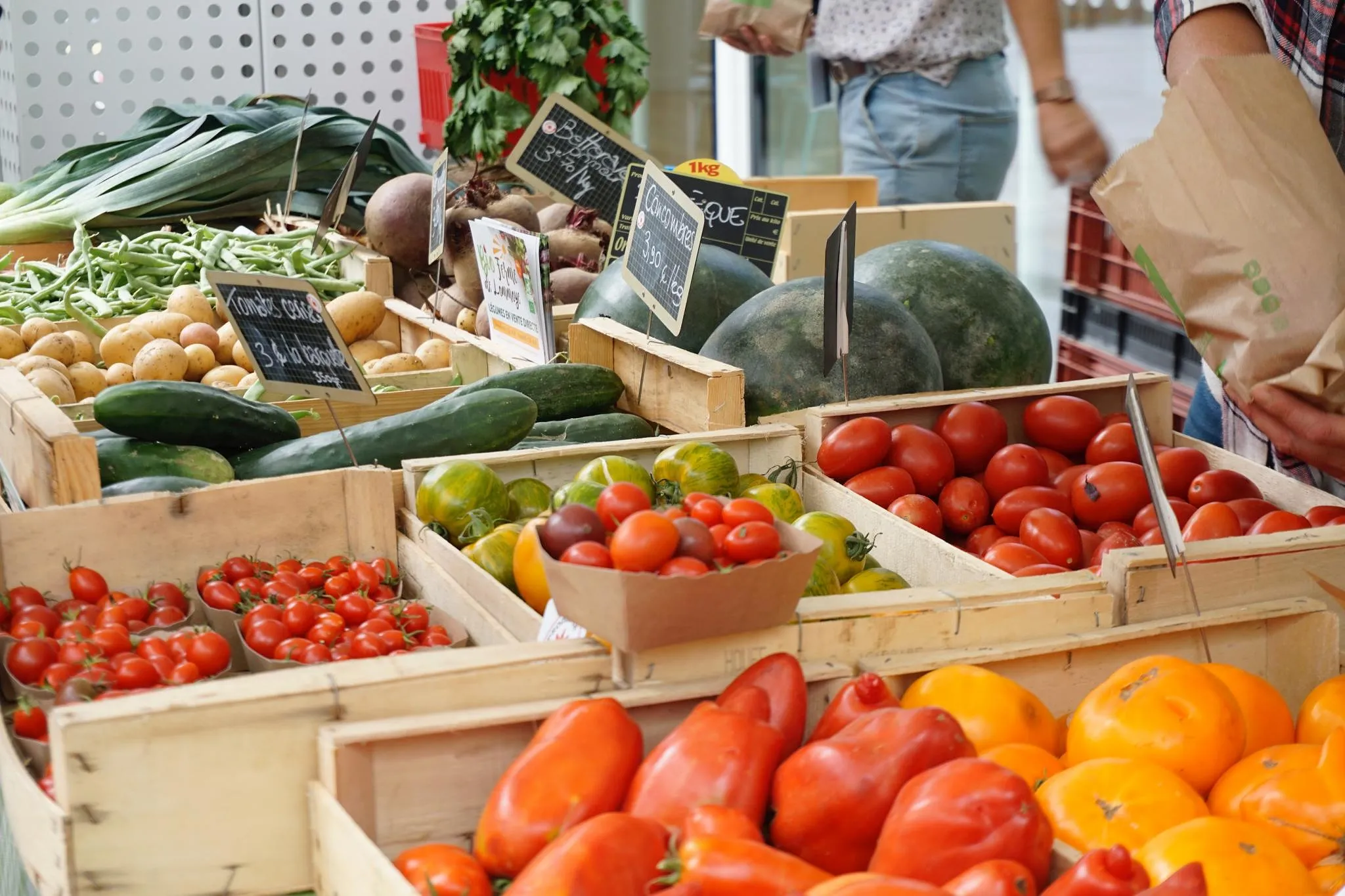 Pâques : Trois chasses aux oeufs dans des endroits atypiques en Belgique - Par Camille Vernin, Photo : Unsplash