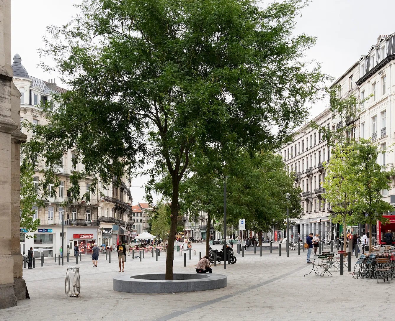 Rencontre avec Bas Smets, l'homme qui va reverdir le parvis de Notre-Dame de Paris - Par AgnÈS Zamboni. CréDit Photo : Belga