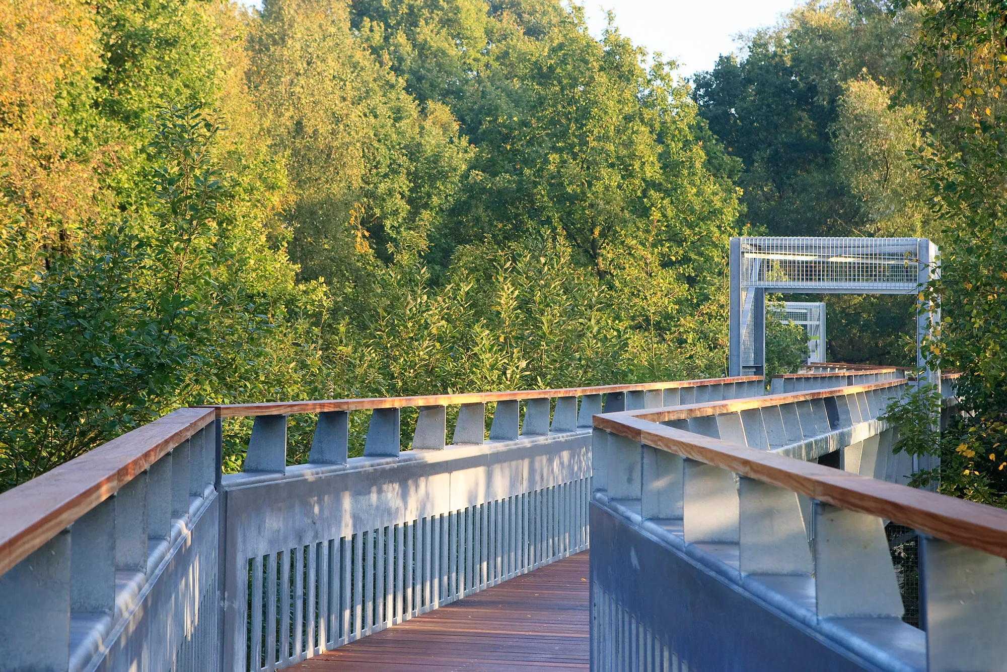Insolite: une balade perchée au sommet des arbres à moins d'une heure de Bruxelles - Par Sigrid Descamps. Photos Architectuur DéPot.