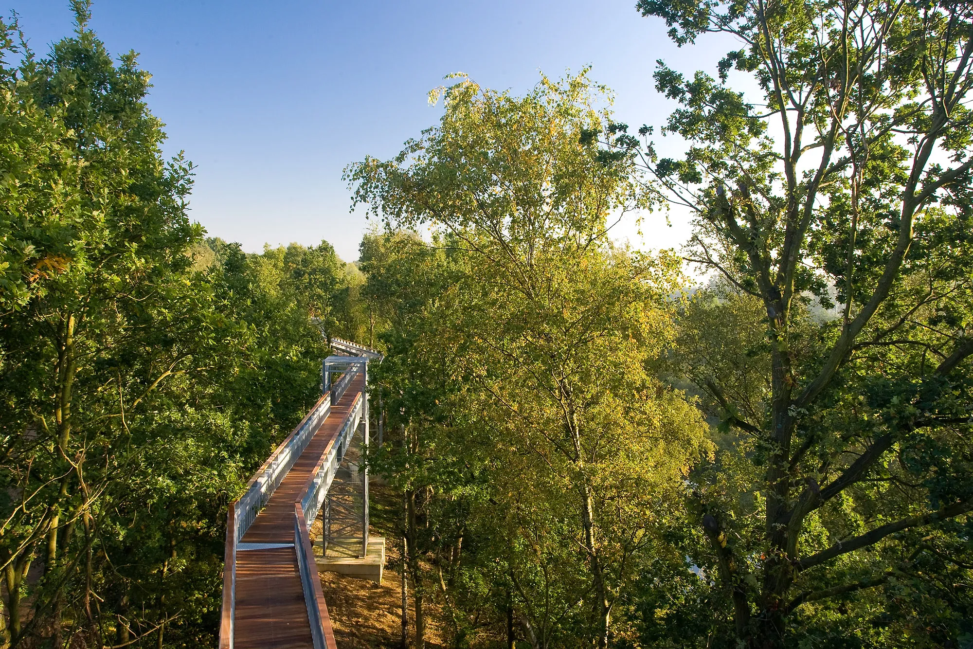 Insolite: une balade perchée au sommet des arbres à moins d'une heure de Bruxelles - Par Sigrid Descamps. Photos Architectuur DéPot.