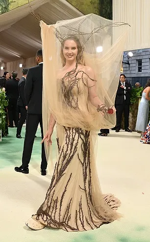 Pourquoi le tapis rouge est-il plus chic au Festival de Cannes qu’au Met Gala - Ingrid Van Langhendonck, Photos Photonews Et Belga