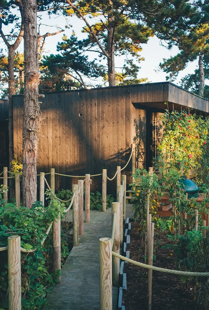Il est possible de dormir gratuitement dans la cabane du chef Jean Imbert - Par Anissa Hezzaz. Photos : Airbnb.