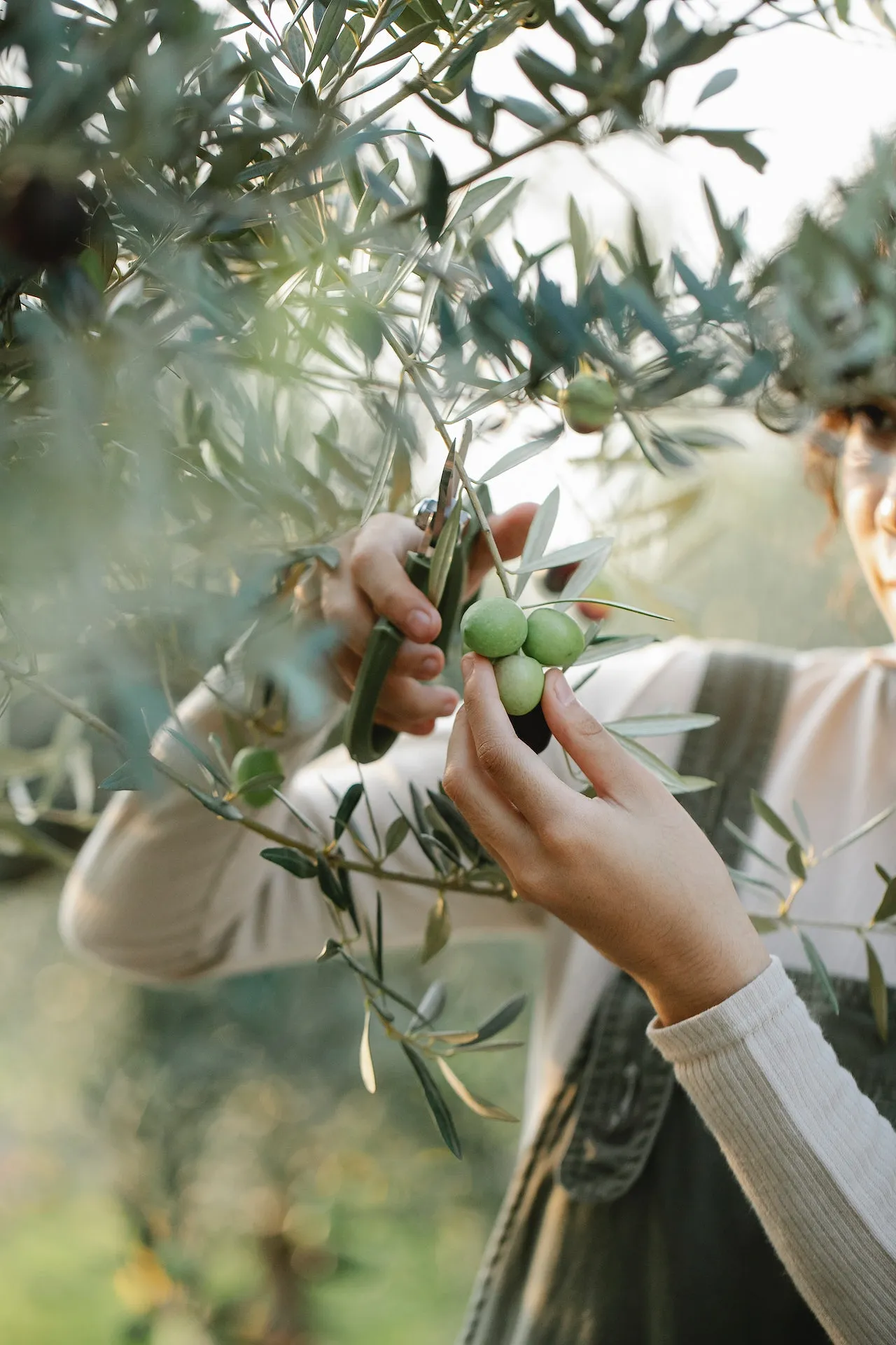 Le terroir italien en 5 produits phares - Ingrid Van Langhendonck, Photos Unsplash