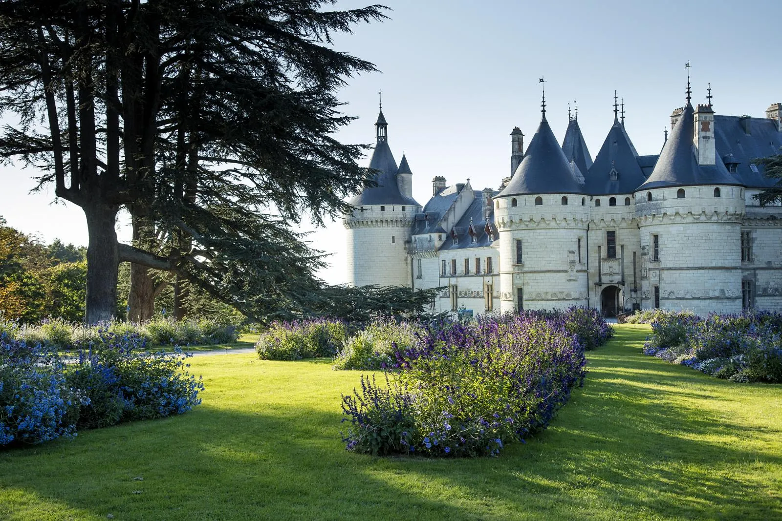 Les vrais châteaux derrière les films Disney - Par Charles Desthieux Photo : Getty Imqge | Disney | Wikipedia | Happy To Wander | Vicsnap