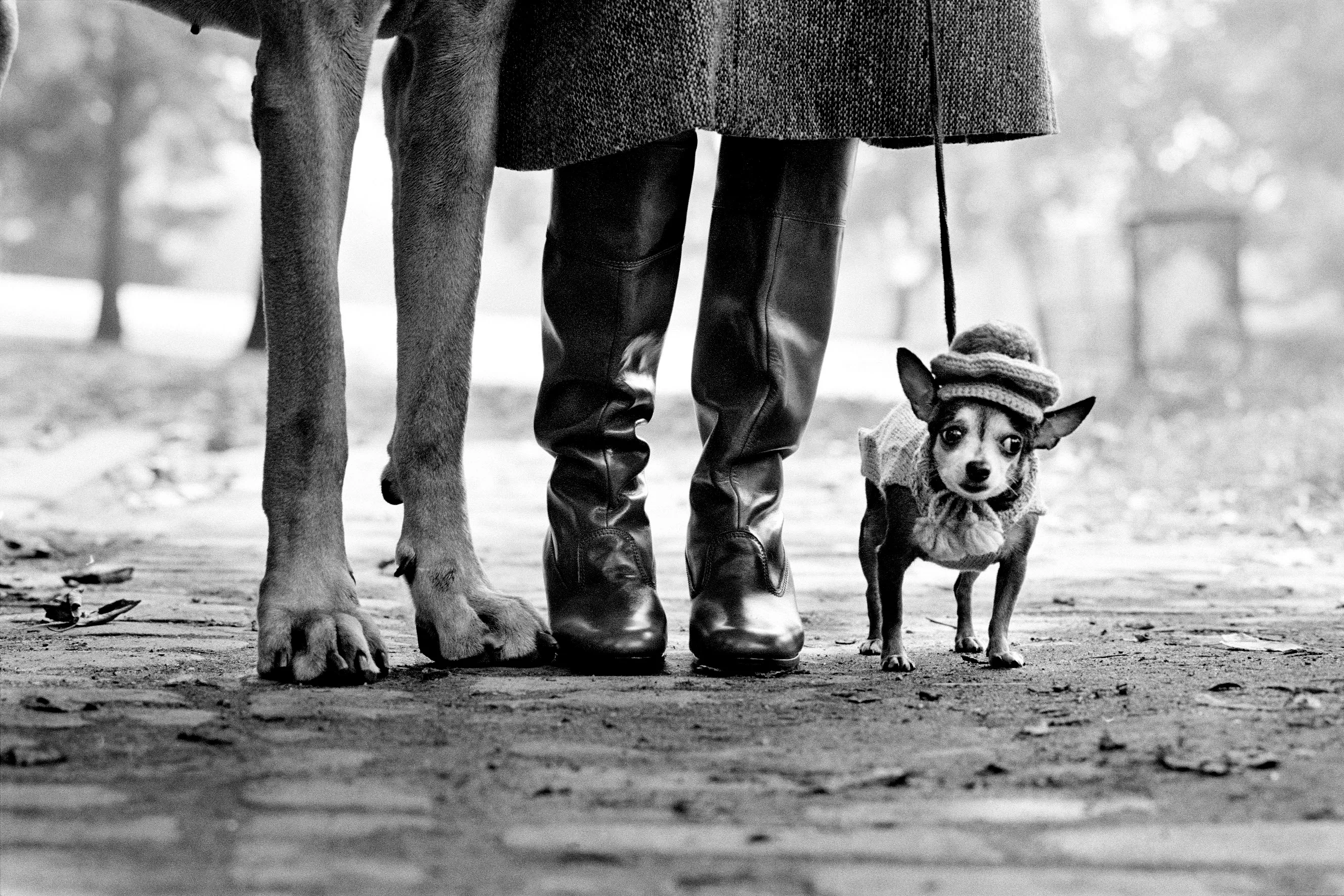 ©Elliott Erwitt / Magnum Photos