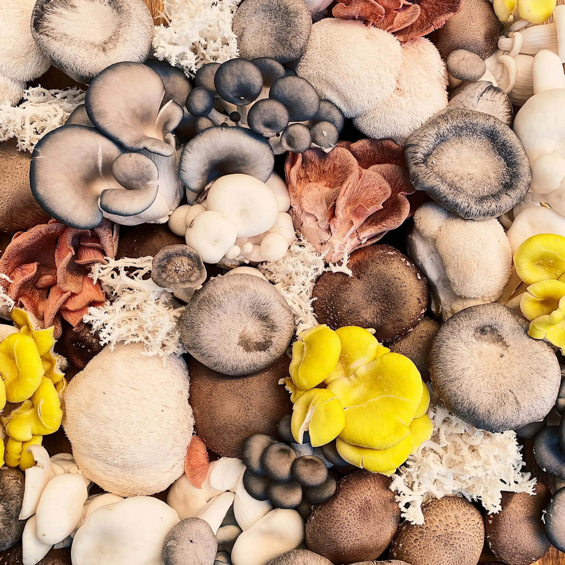 Voici l’ingrédient à intégrer dans son alimentation pour booster son cerveau - Ashley Sleig - Unsplash - Sigrid Descamps - Journaliste