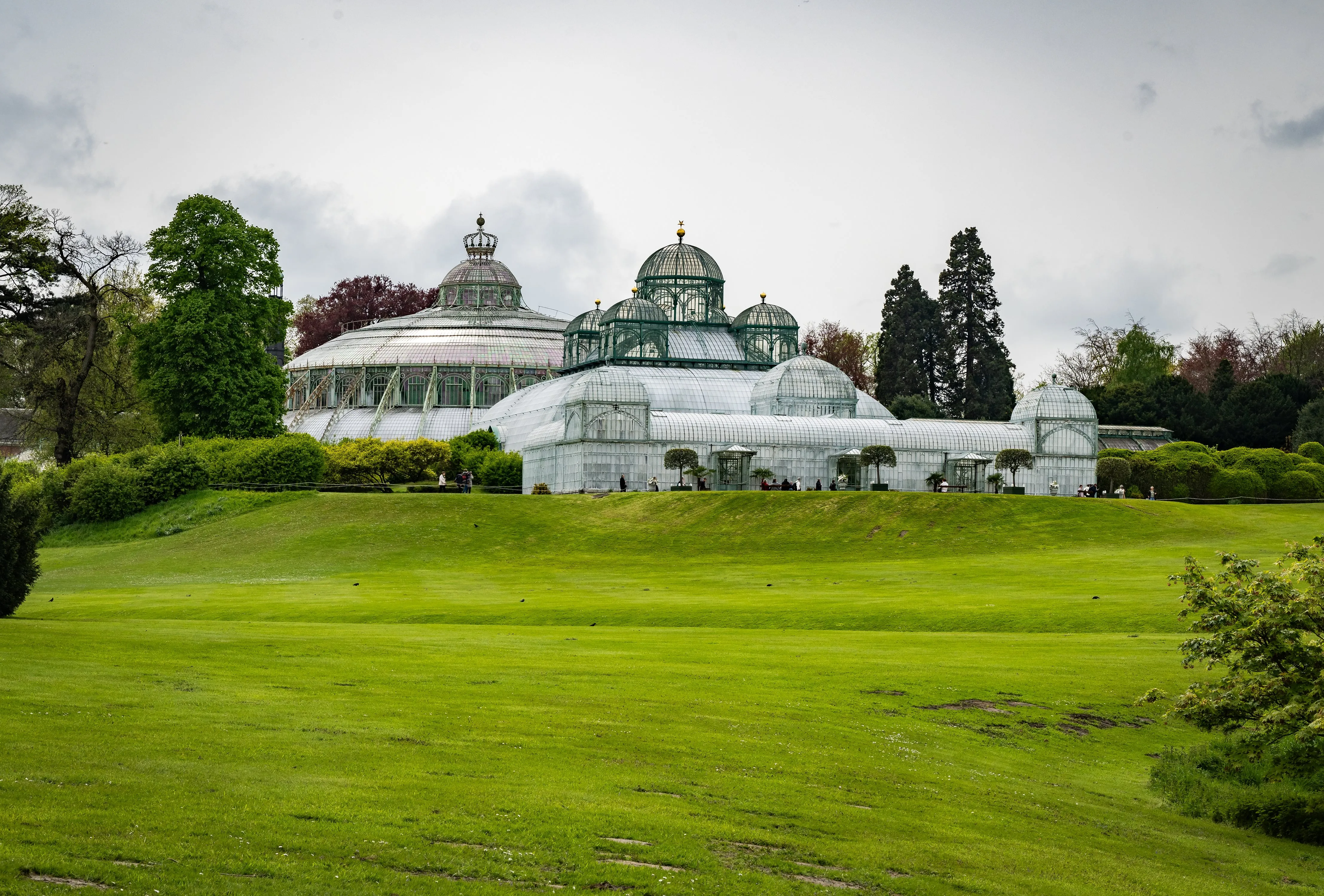 Pourquoi la visite des Serres royales de Laeken est le rendez-vous printanier à ne pas manquer - Photo News - Audrey Morard