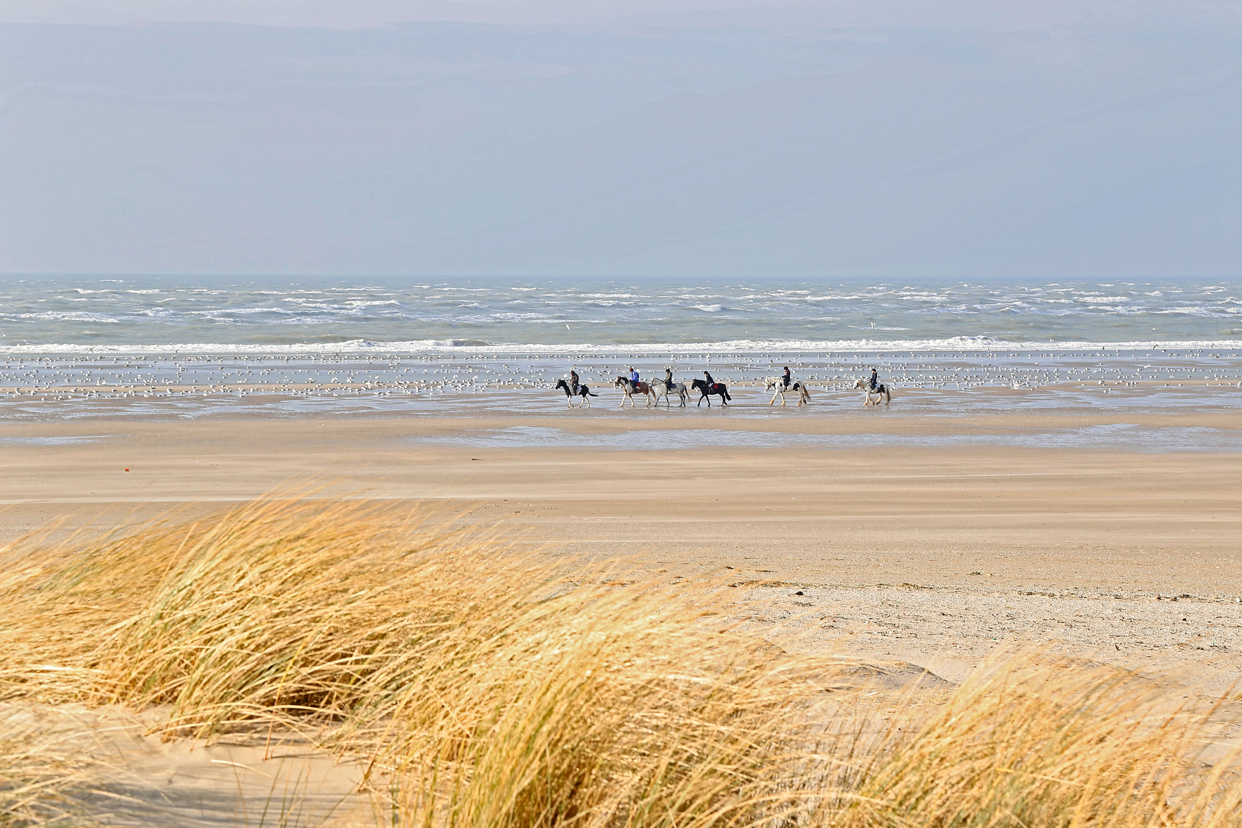 Le Touquet, la station balnéaire chic et cool, à trois heures de la Belgique - Service Communication du Touquet - Marie Honnay