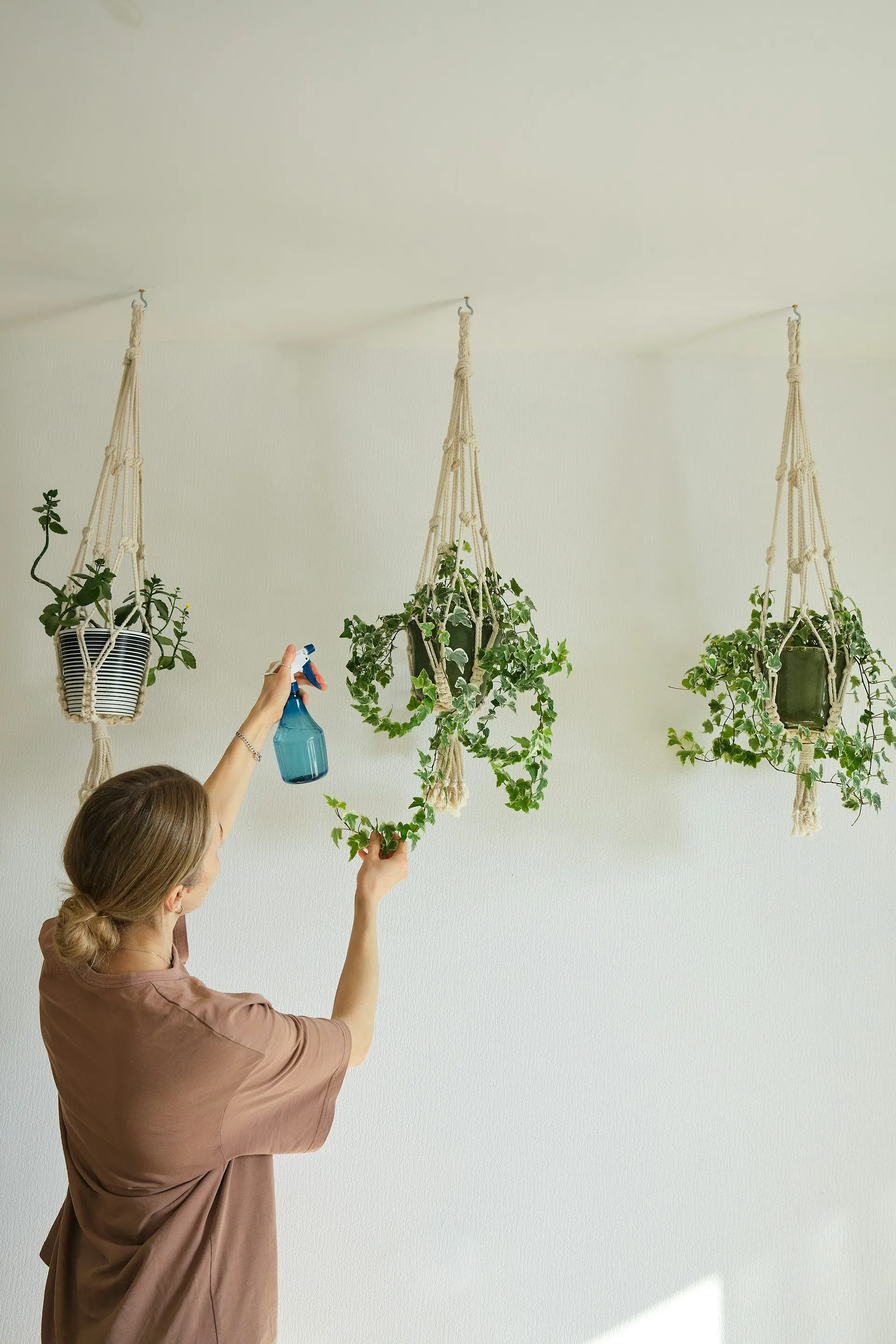 Quand arroser ses plantes lorsqu’il fait très chaud ? - Andrej Lisakov pour Unsplash - La rédaction