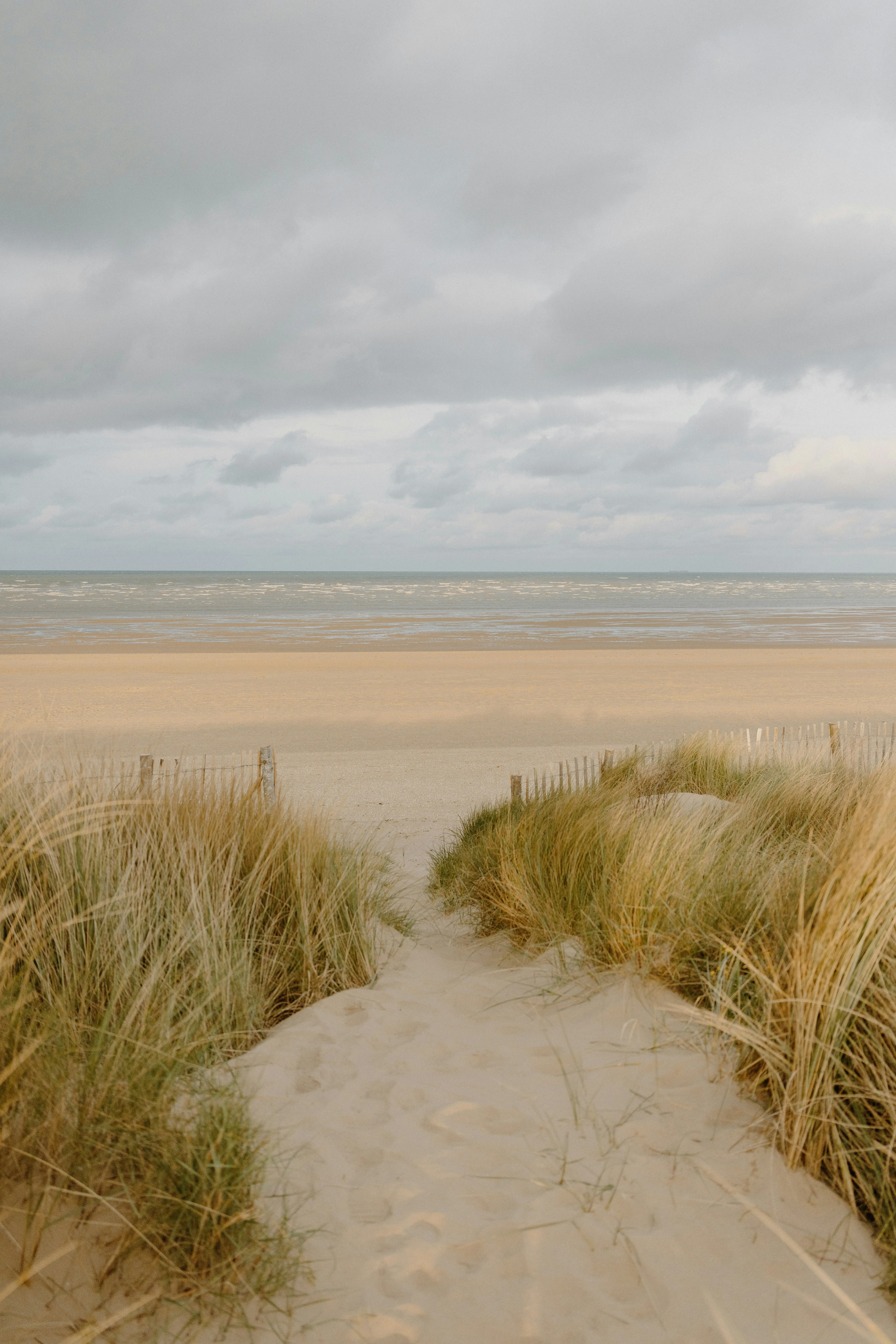 Avec l’une des plus belles plages d’Europe, cette destination pourrait détrôner Knokke cet été - Annie Spratt on Unsplash - Anissa Hezzaz