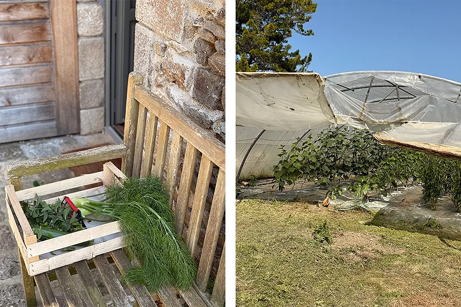 Les Jardins de la Matz : l’adresse bretonne où la gastronomie naît du potager - France.fr et Bretagne Tourisme